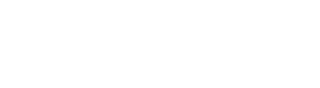 Dynamic Solutions